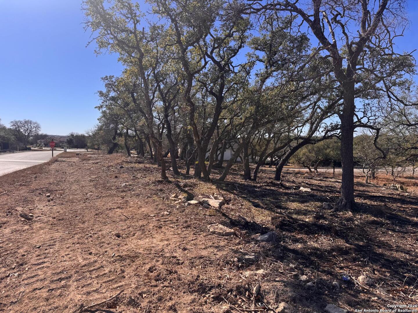 111 Woodland Fair Oaks Ranch Fair Oaks Ranch, TX 78015 - Photo 11 of 17