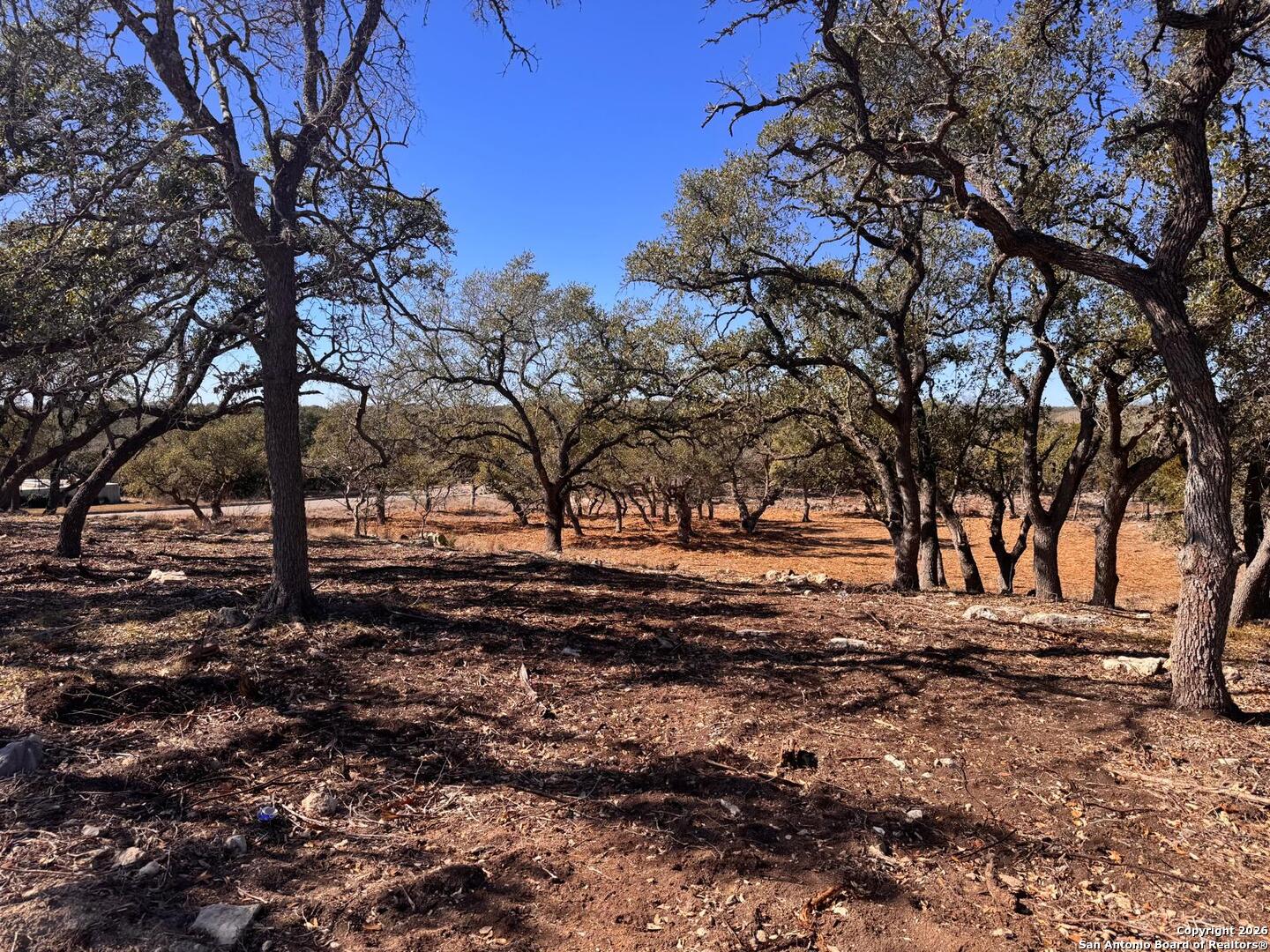 111 Woodland Fair Oaks Ranch Fair Oaks Ranch, TX 78015 - Photo 12 of 17