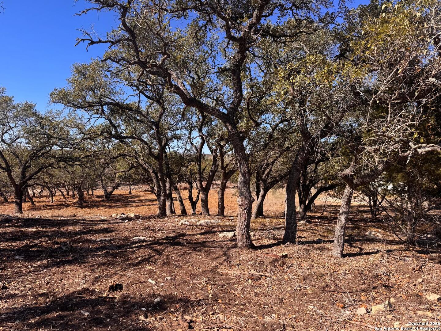 111 Woodland Fair Oaks Ranch Fair Oaks Ranch, TX 78015 - Photo 13 of 17