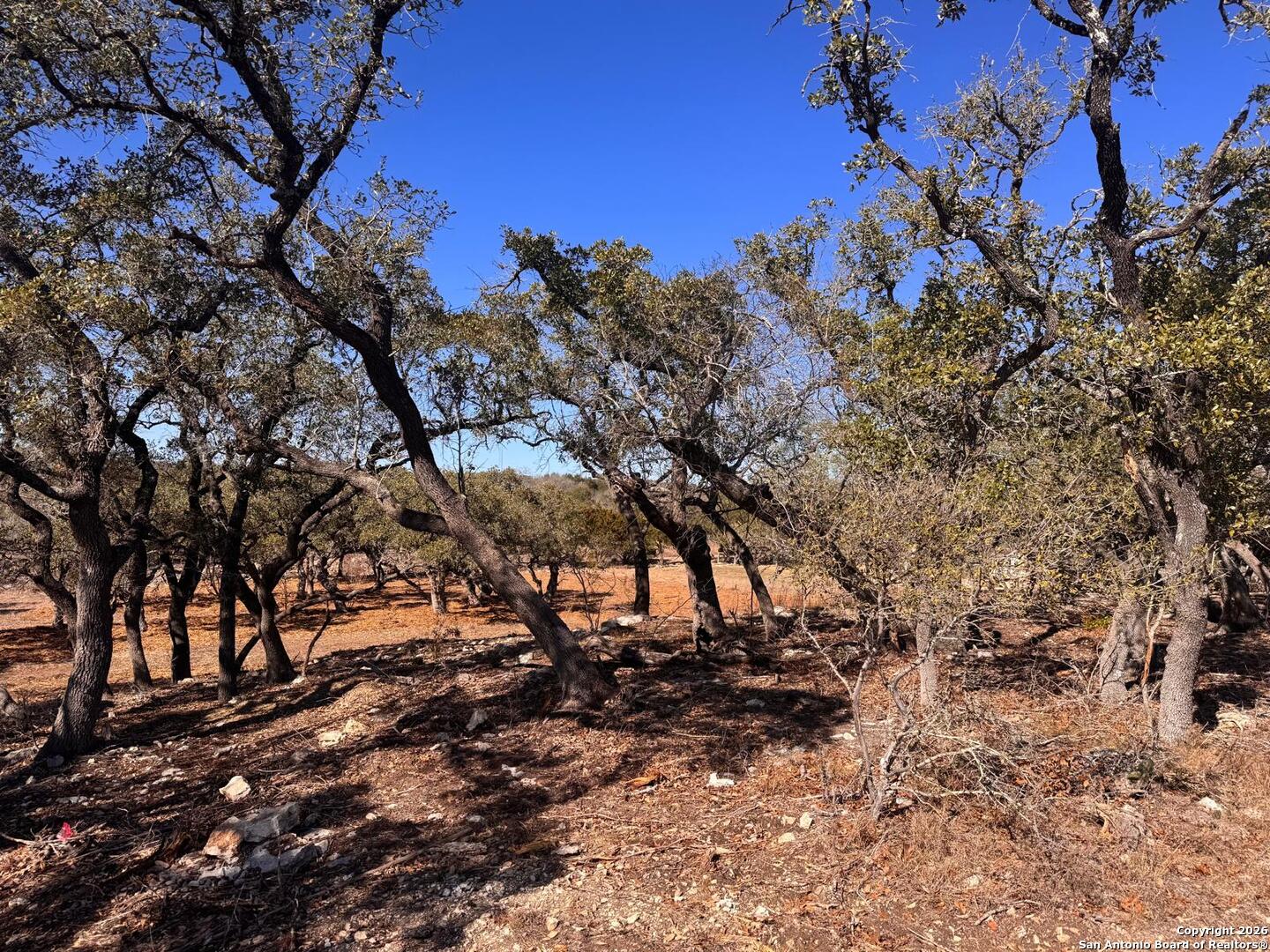 111 Woodland Fair Oaks Ranch Fair Oaks Ranch, TX 78015 - Photo 15 of 17