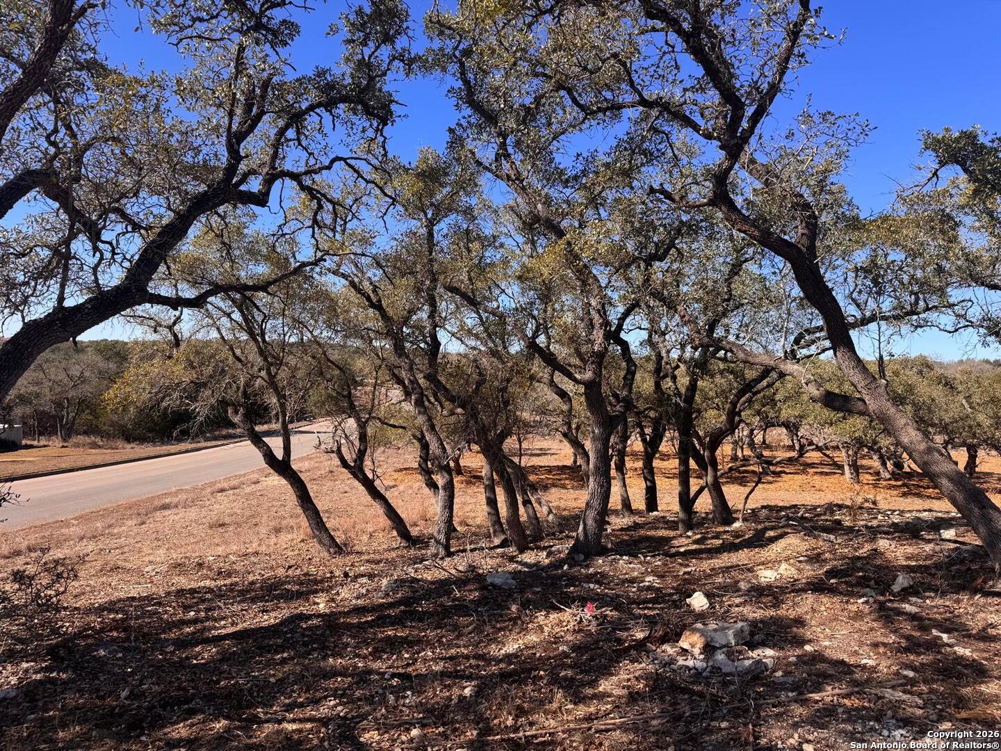 111 Woodland Fair Oaks Ranch Fair Oaks Ranch, TX 78015 - Photo 16 of 17