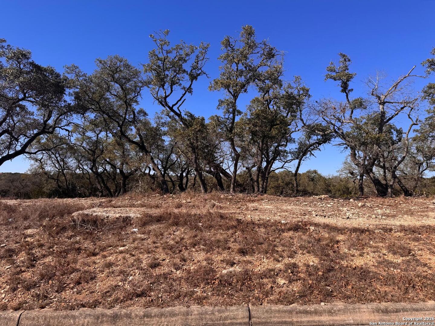 111 Woodland Fair Oaks Ranch Fair Oaks Ranch, TX 78015 - Photo 17 of 17