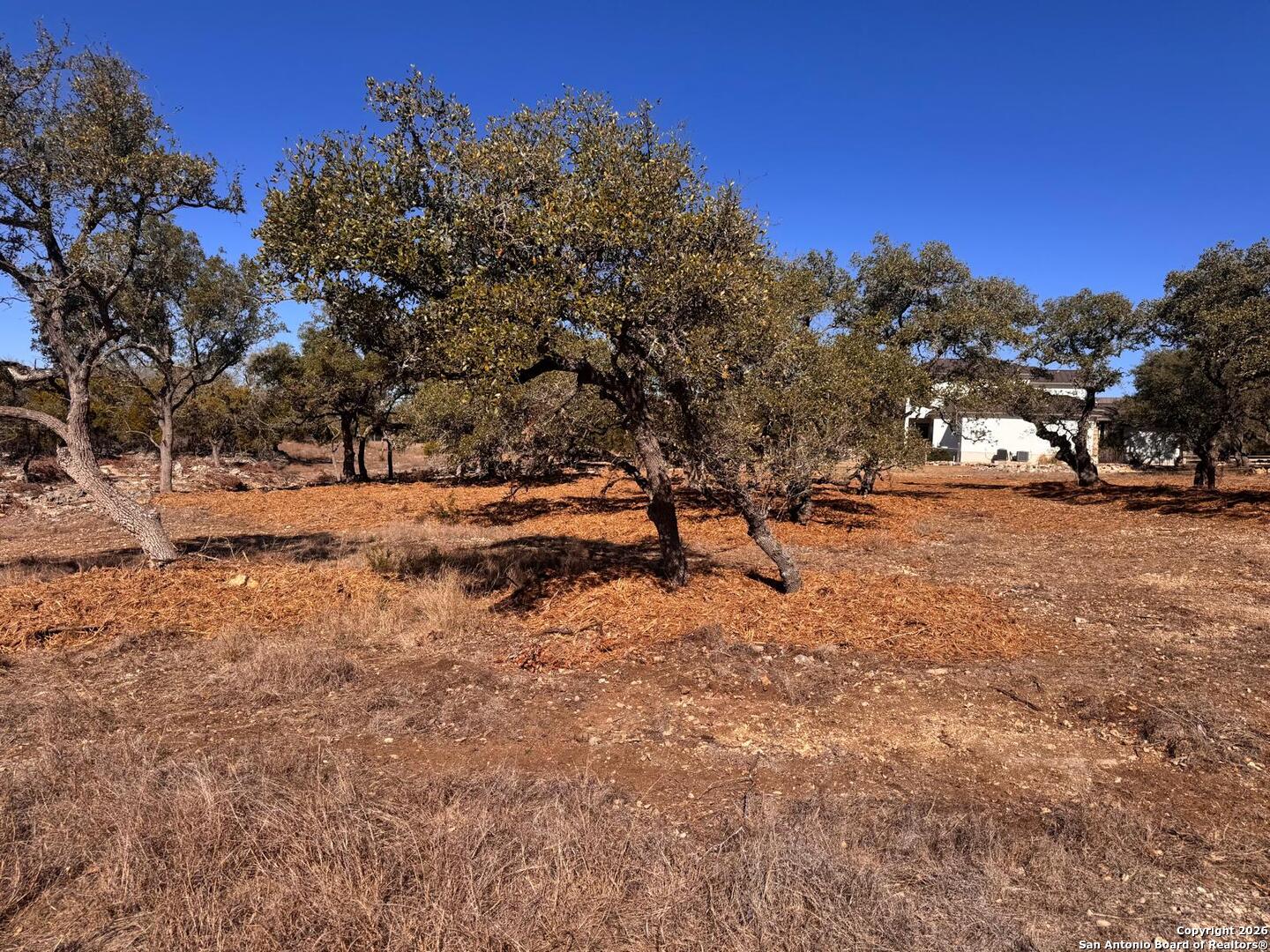 111 Woodland Fair Oaks Ranch Fair Oaks Ranch, TX 78015 - Photo 4 of 17