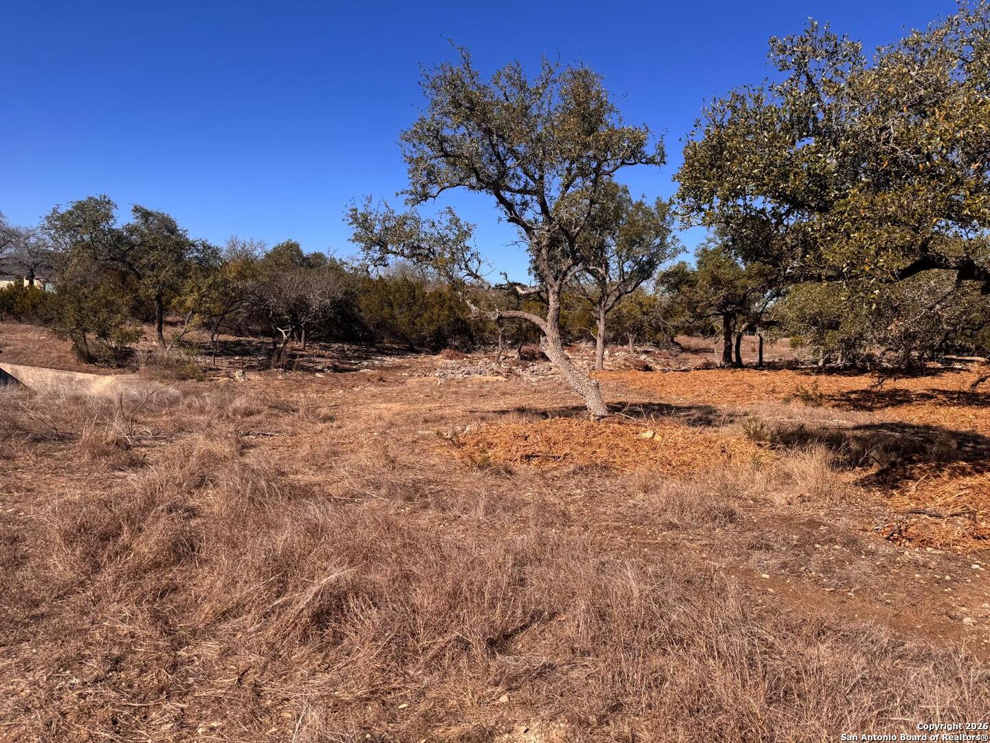 111 Woodland Fair Oaks Ranch Fair Oaks Ranch, TX 78015 - Photo 5 of 17