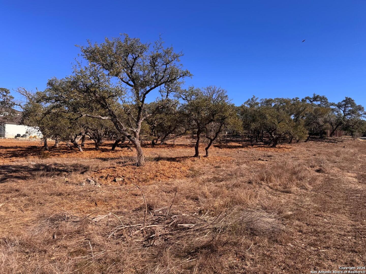 111 Woodland Fair Oaks Ranch Fair Oaks Ranch, TX 78015 - Photo 6 of 17