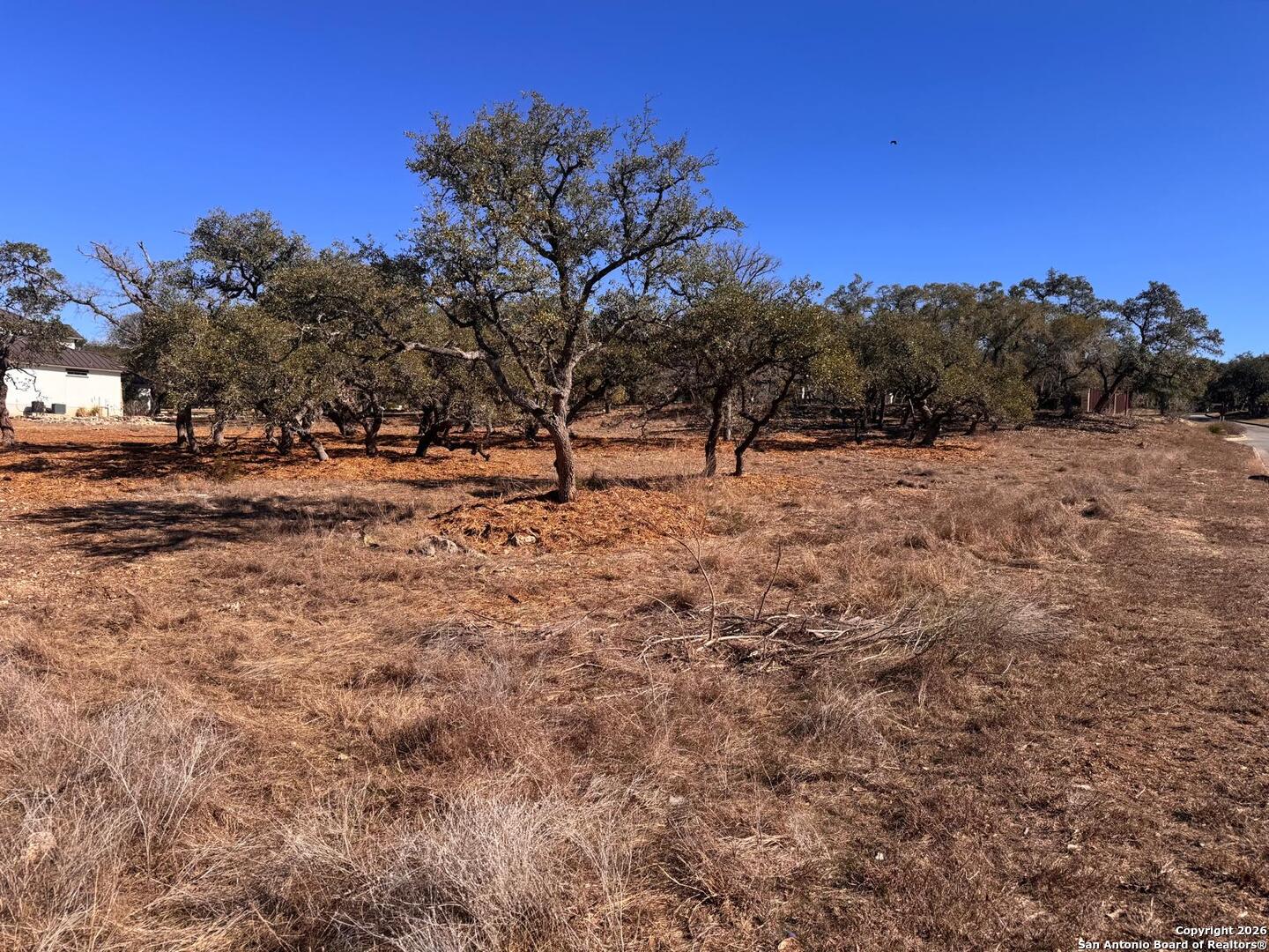 111 Woodland Fair Oaks Ranch Fair Oaks Ranch, TX 78015 - Photo 8 of 17