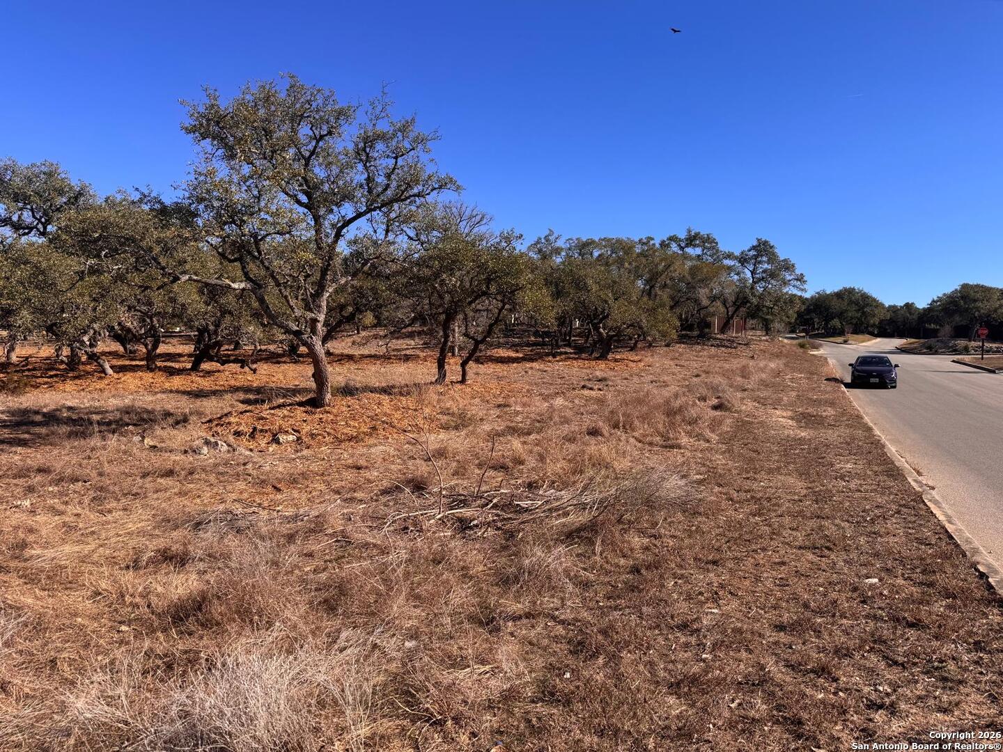 111 Woodland Fair Oaks Ranch Fair Oaks Ranch, TX 78015 - Photo 9 of 17