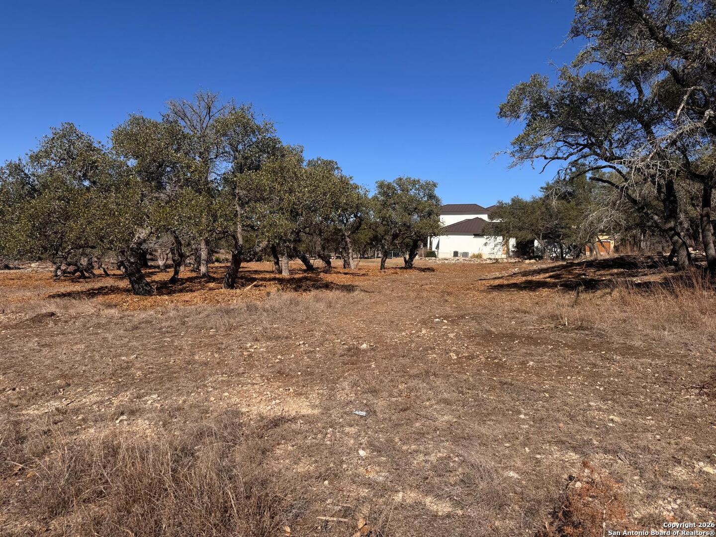 111 Woodland Fair Oaks Ranch Fair Oaks Ranch, TX 78015 - Photo 10 of 17