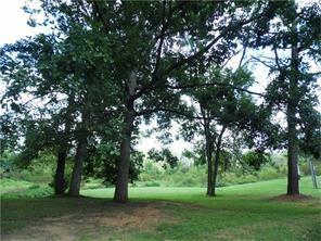 3083 Colonial Way, Unit N Atlanta, GA 30341 - Photo 19 of 20 a view of a trees with a yard