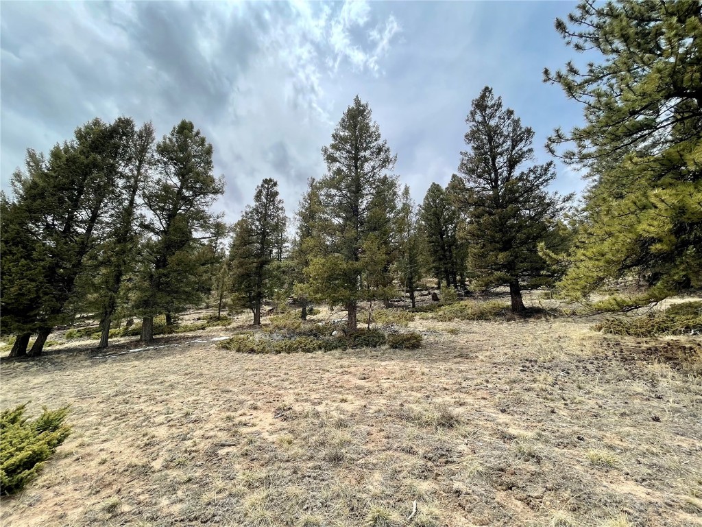 1456 Redhill Road Fairplay, CO 80440 - Photo 1 of 28 Gallery Image 1