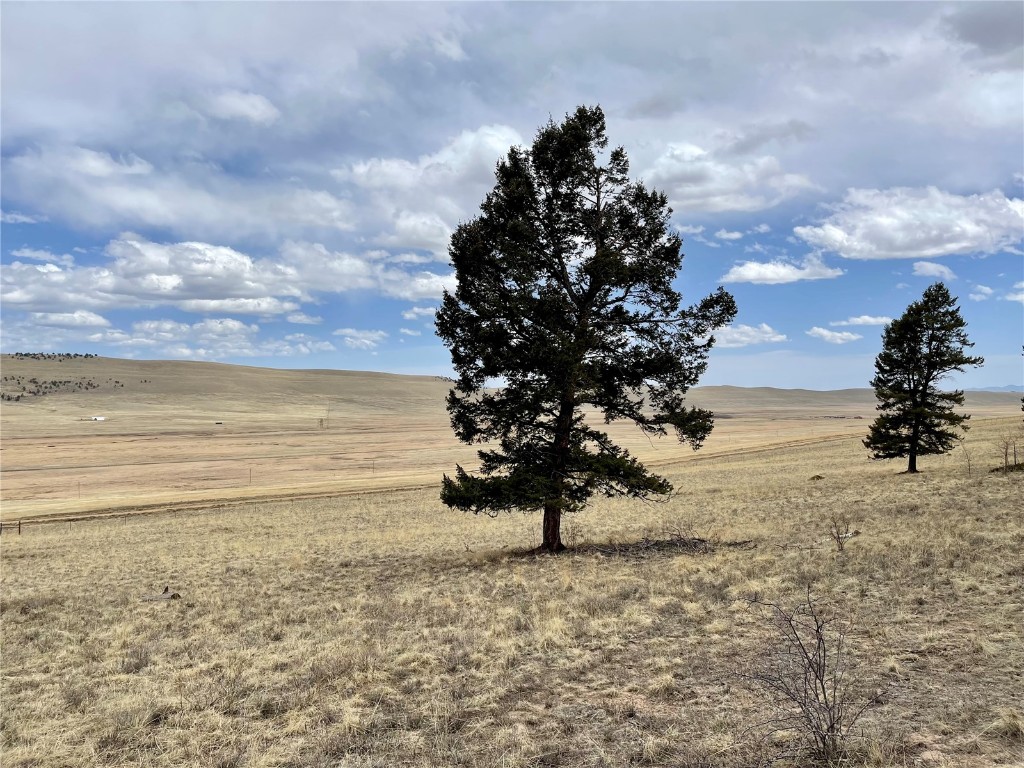 1456 Redhill Road Fairplay, CO 80440 - Photo 11 of 28 Gallery Image 11