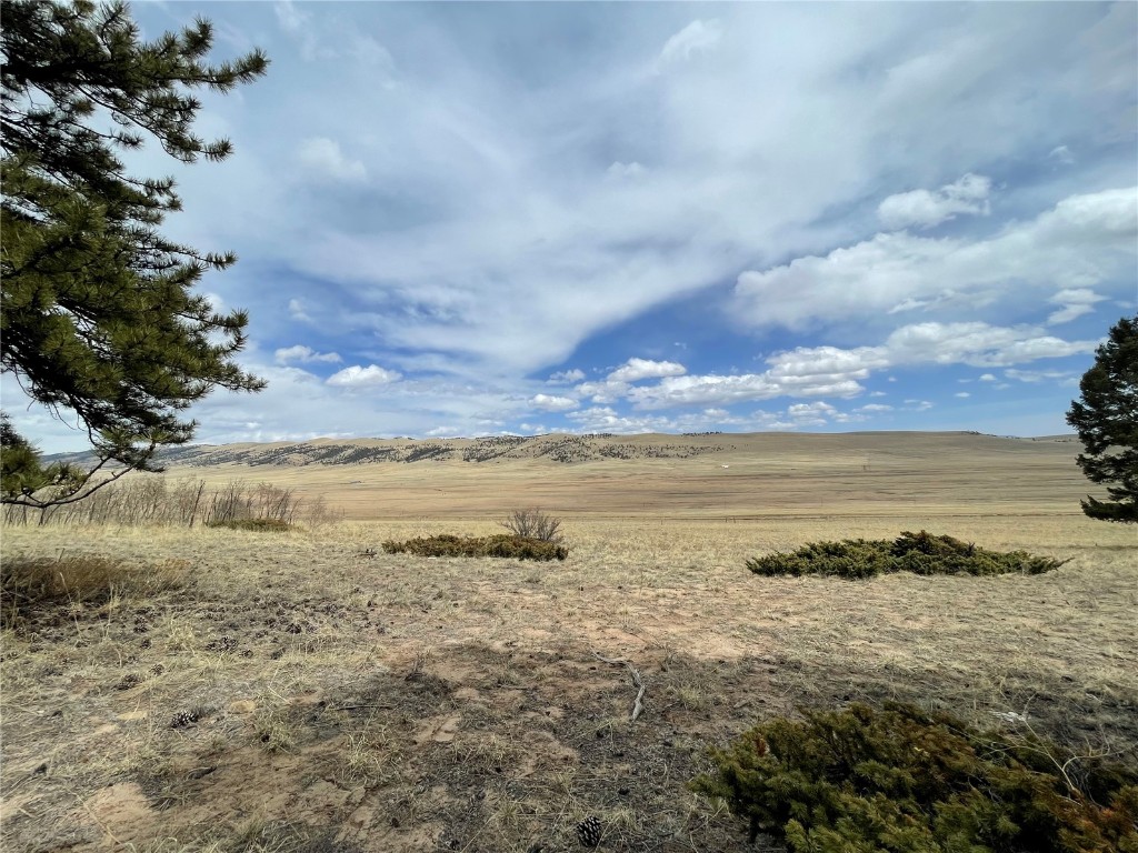 1456 Redhill Road Fairplay, CO 80440 - Photo 16 of 28 Gallery Image 16