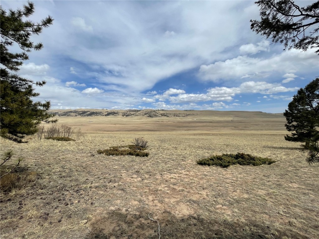 1456 Redhill Road Fairplay, CO 80440 - Photo 18 of 28 Gallery Image 18