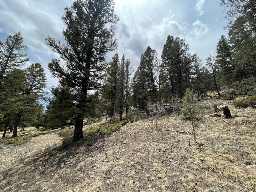 1456 Redhill Road Fairplay, CO 80440 - Photo 23 of 28 Gallery Image 23