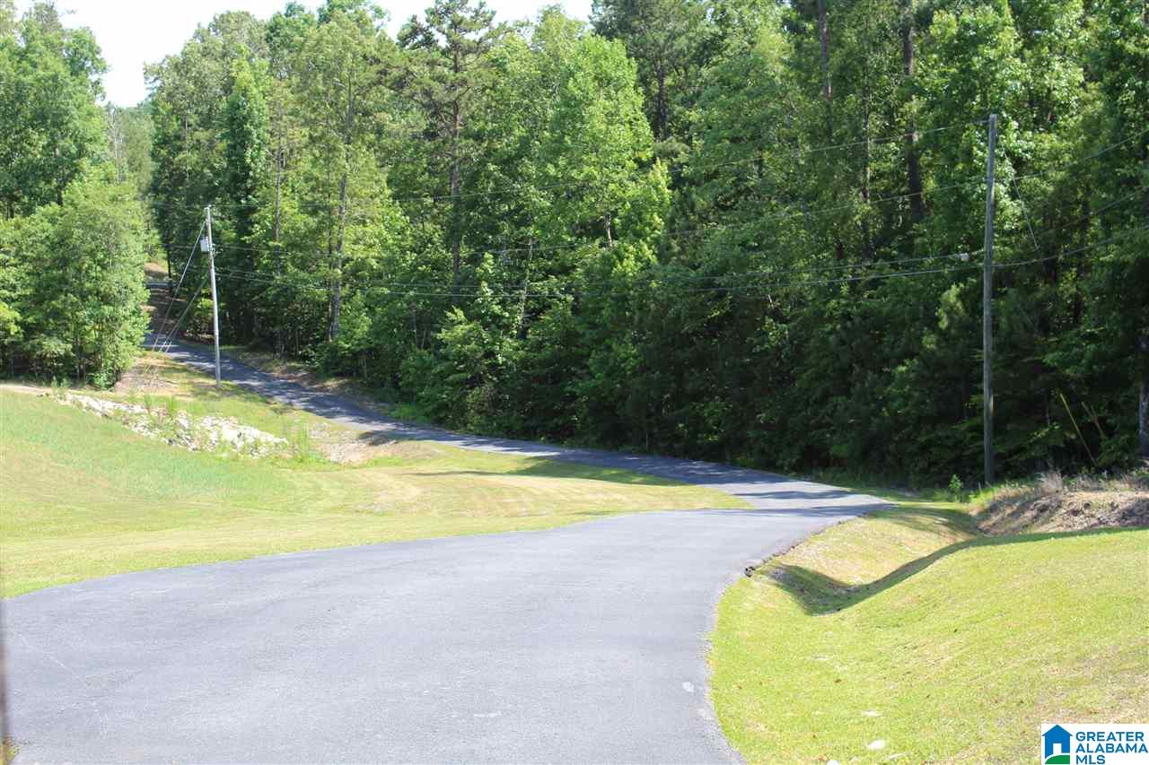 Christopher Cove Sterrett, AL 35147 - Photo 9 of 10