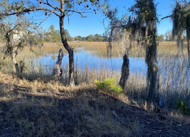 $1,225,000 | 6444 St Anthony Drive, Hollywood, SC 29449