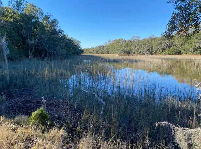 $1,225,000 | 6444 St Anthony Drive, Hollywood, SC 29449