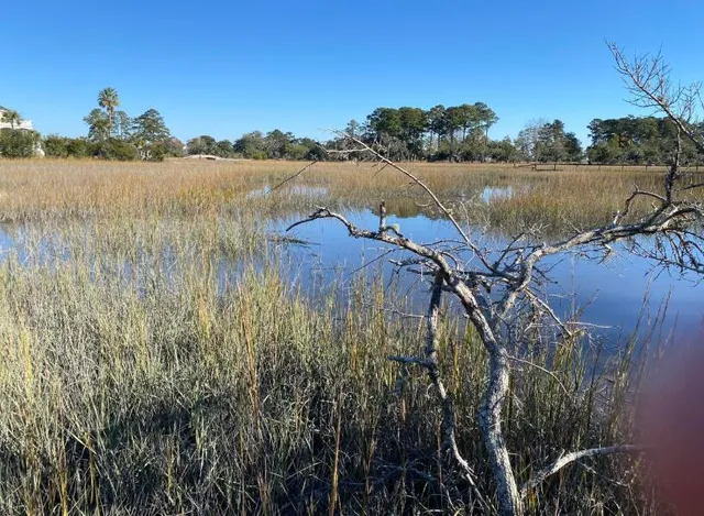 $1,225,000 | 6444 St Anthony Drive, Hollywood, SC 29449