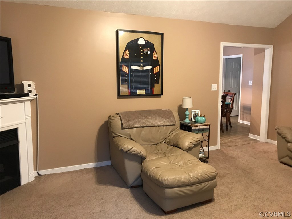 16460 Jolly Road Disputanta, VA 23842 - Photo 11 of 29 Gallery Image 11