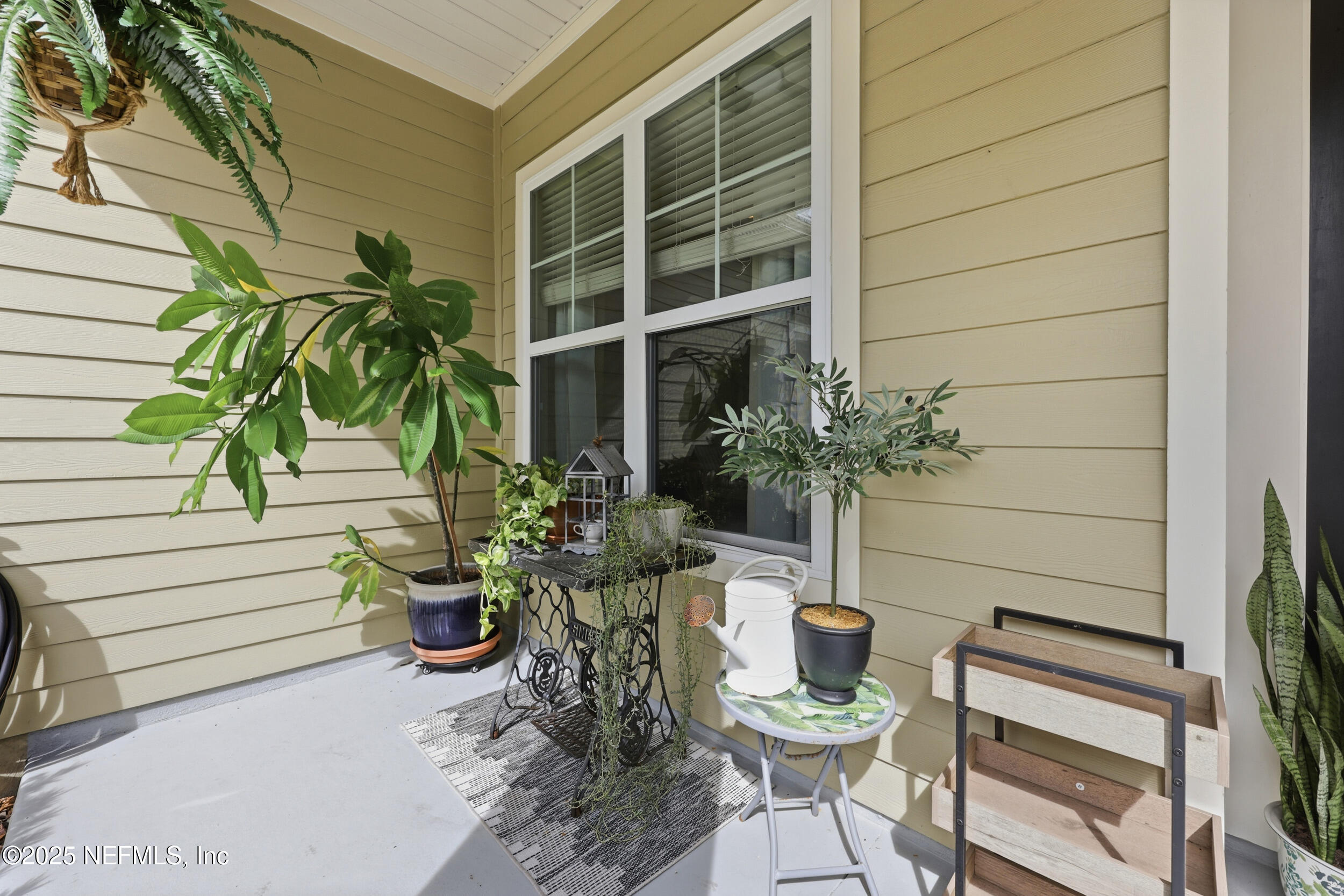 50 Olivette Street St. Johns, FL 32259 - Photo 5 of 74 a potted plant sitting in front of a house