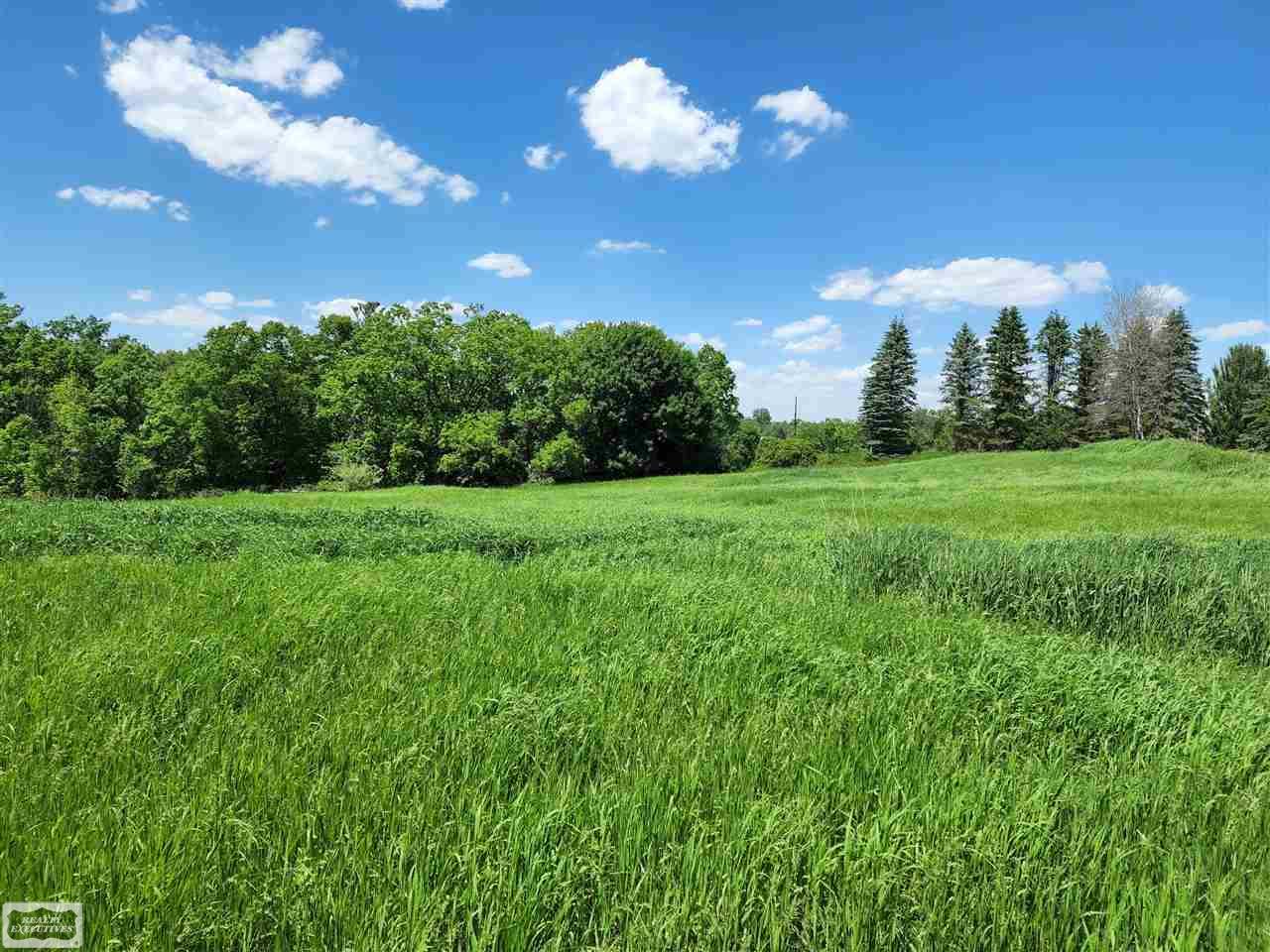 0 Brewer Road Leonard, MI 48367 - Photo 2 of 7