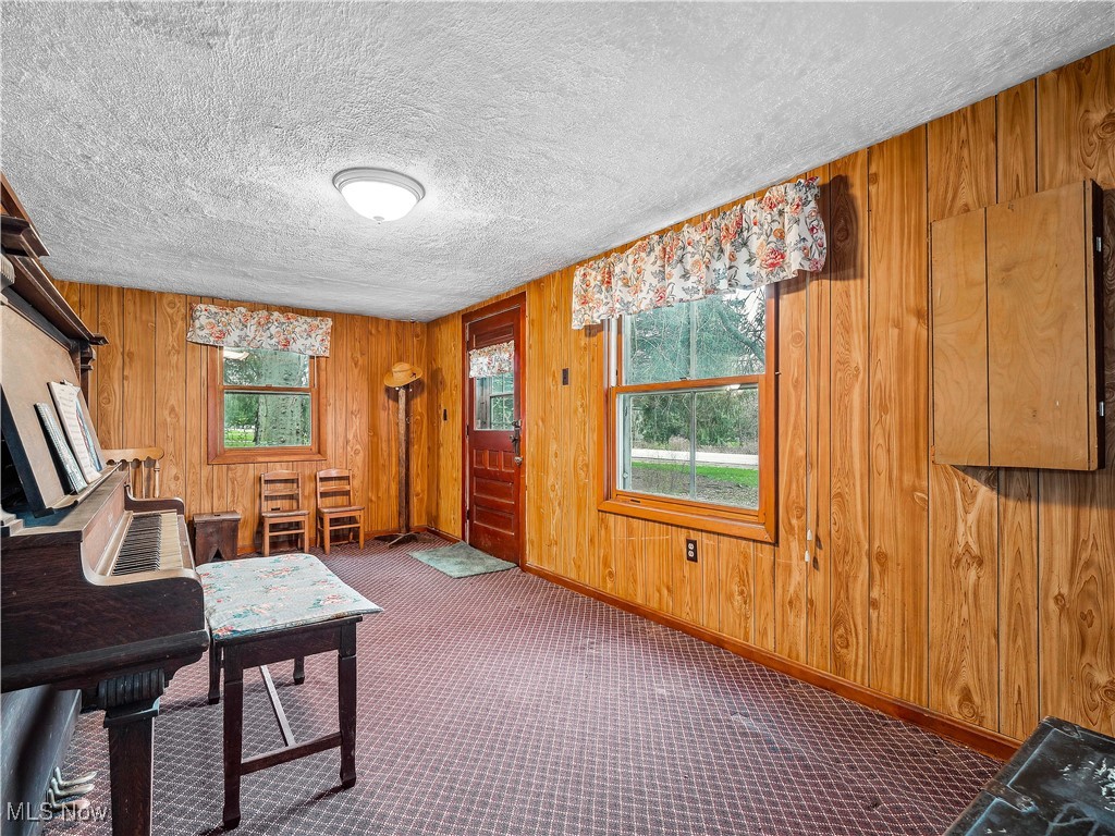 35400 Chestnut Ridge Road North Ridgeville, OH 44039 - Photo 7 of 48 Living area with plenty of natural light, wooden walls, and carpet flooring