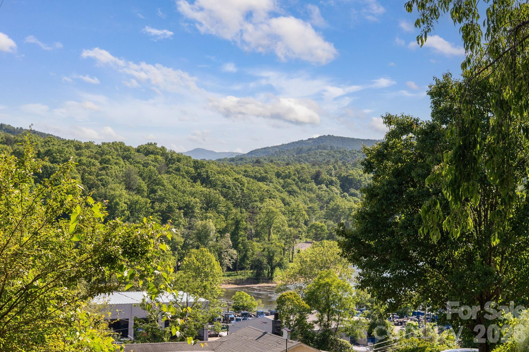 66 Green Oak Road Asheville, NC 28804 - Photo 6 of 35