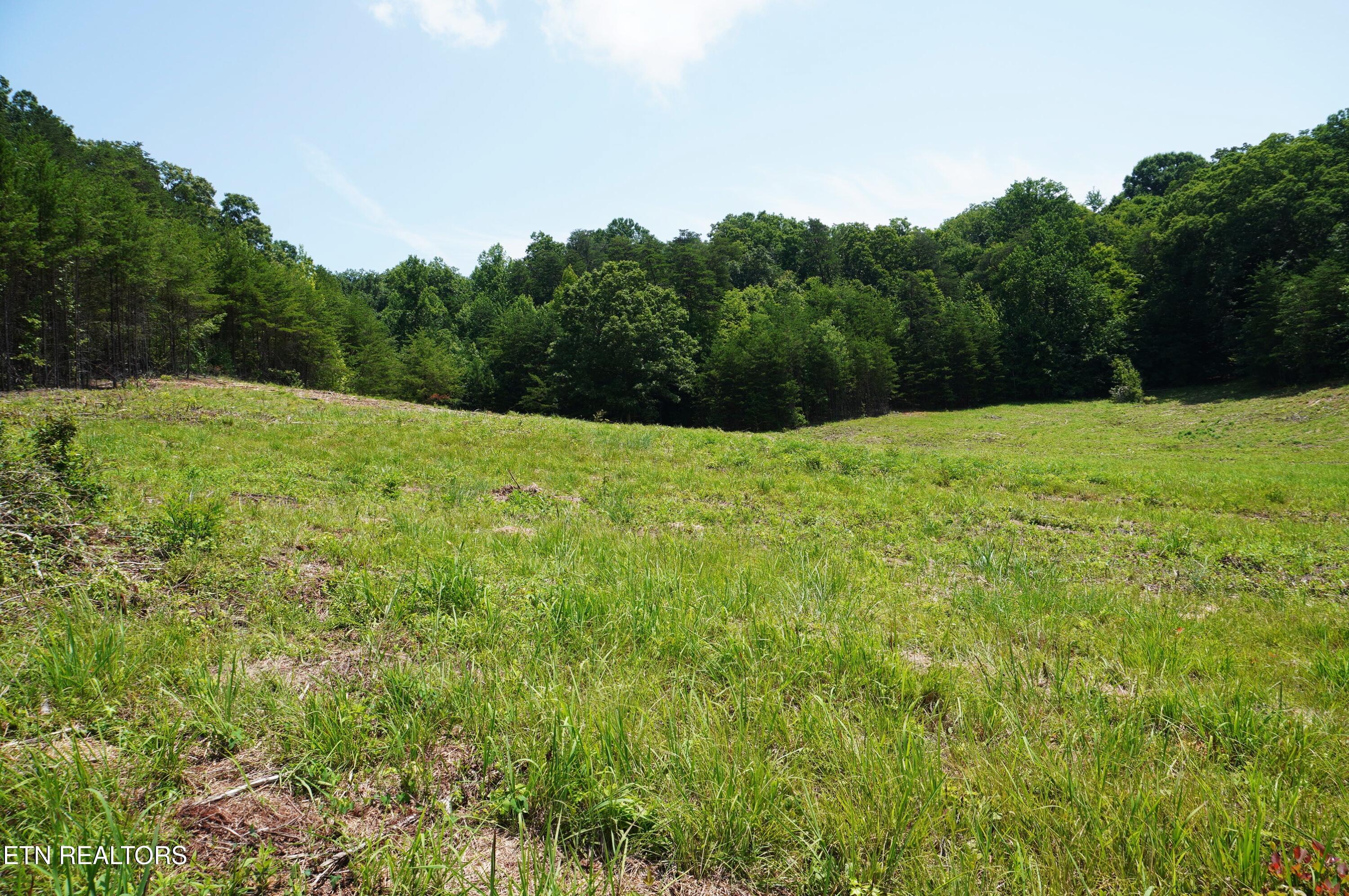 0 Rhyne Camp Road Newport, TN 37821 - Photo 4 of 19 camp rhyne rd (18)