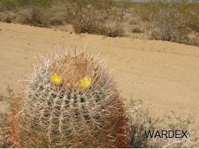 3102 D Cliff Road Yucca, AZ 86438 - Photo 3 of 4 Additional Photo