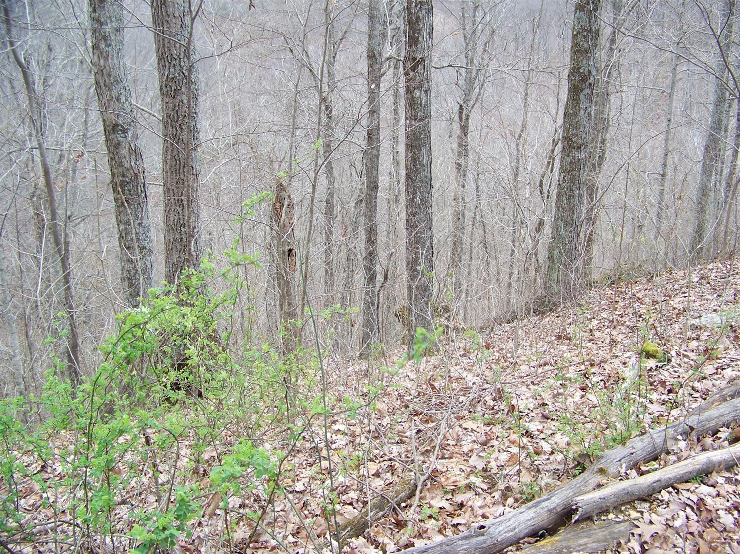 740 Horse Ridge Road Stanford, KY 40484 - Photo 11 of 22 Listing Photo