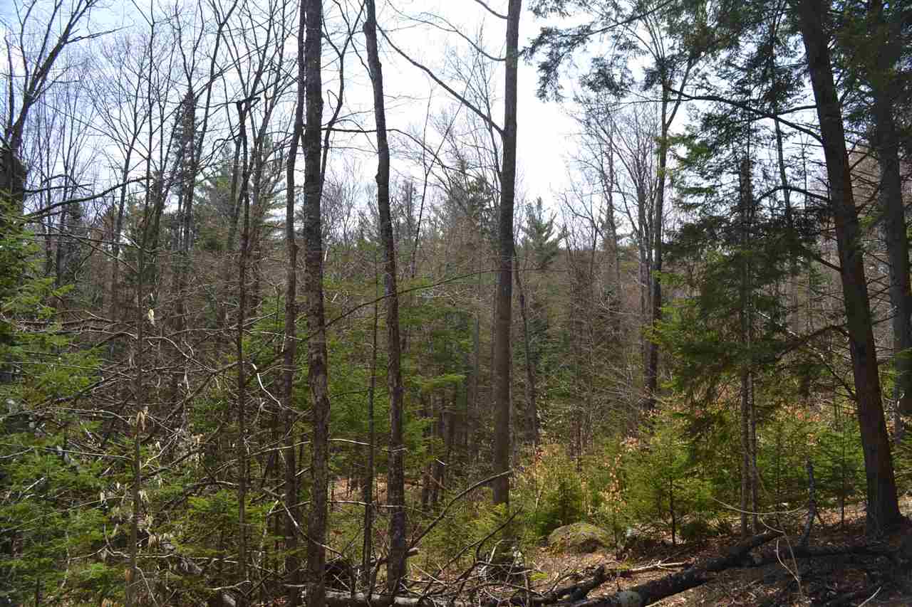 38-48 Mespelli Road Campton, NH 03223 - Photo 11 of 16