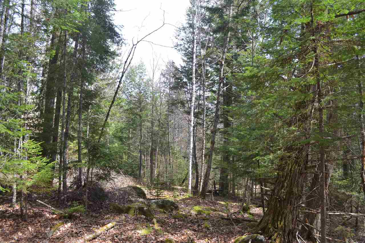 38-48 Mespelli Road Campton, NH 03223 - Photo 12 of 16