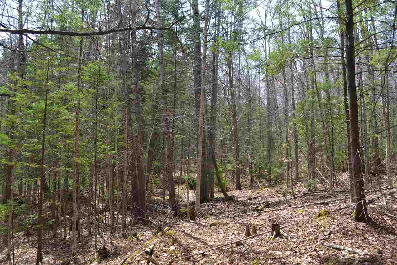 38-48 Mespelli Road Campton, NH 03223 - Photo 13 of 16