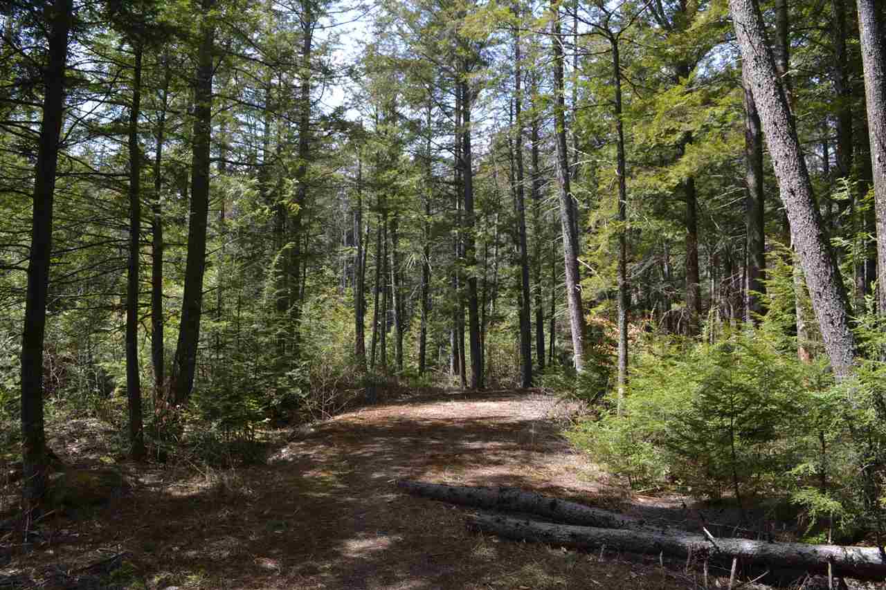 38-48 Mespelli Road Campton, NH 03223 - Photo 3 of 16