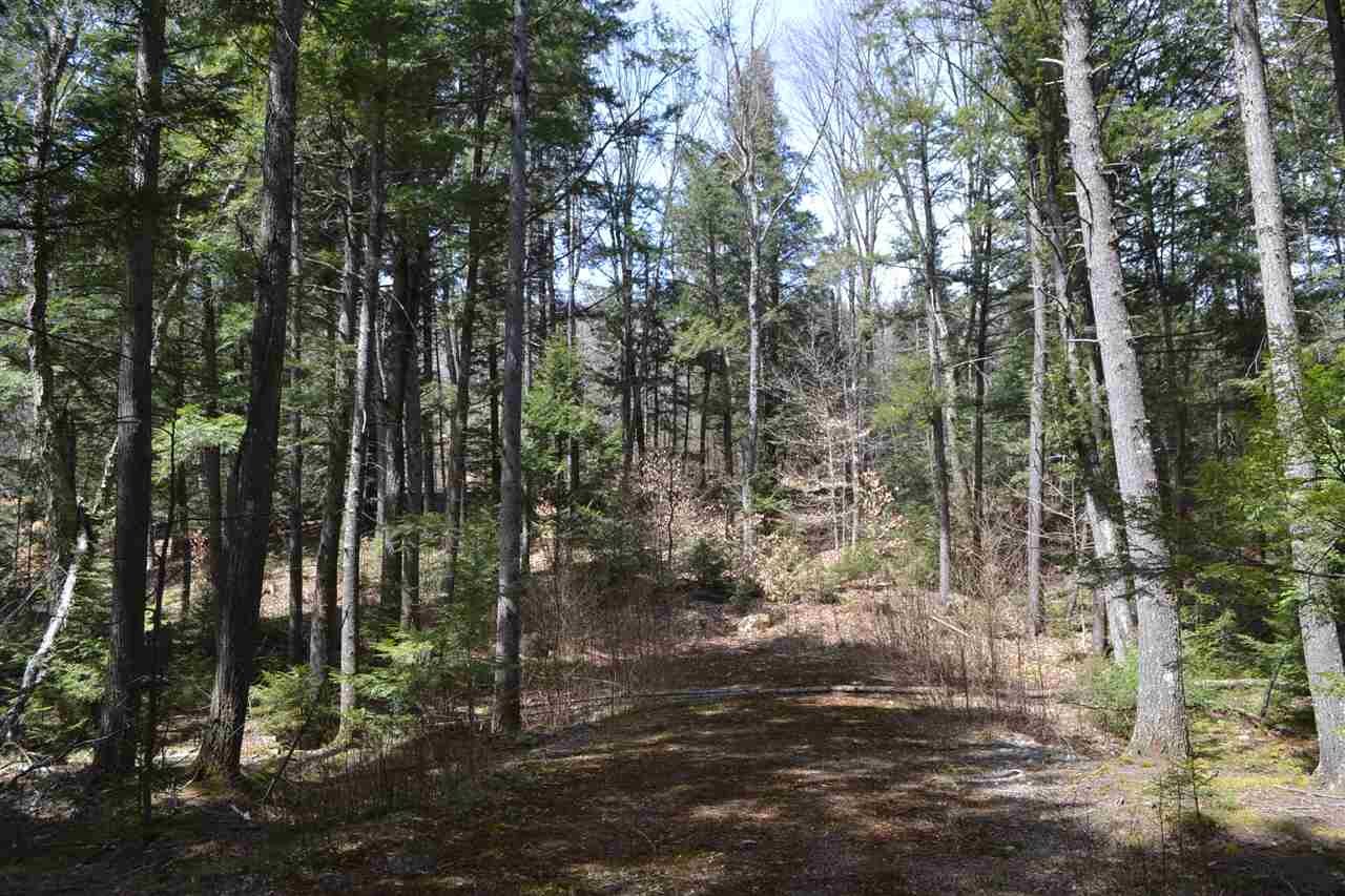 38-48 Mespelli Road Campton, NH 03223 - Photo 4 of 16