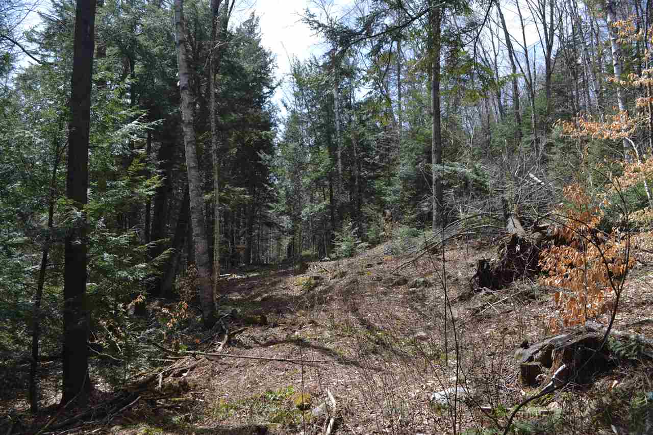 38-48 Mespelli Road Campton, NH 03223 - Photo 5 of 16