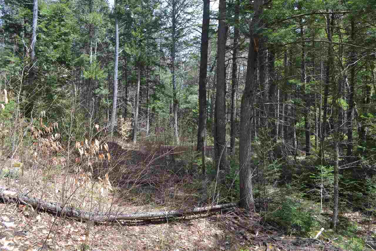 38-48 Mespelli Road Campton, NH 03223 - Photo 6 of 16