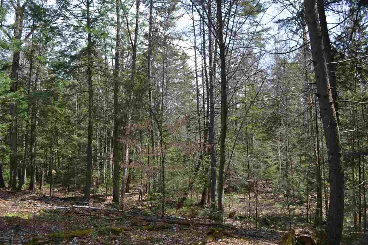 38-48 Mespelli Road Campton, NH 03223 - Photo 8 of 16