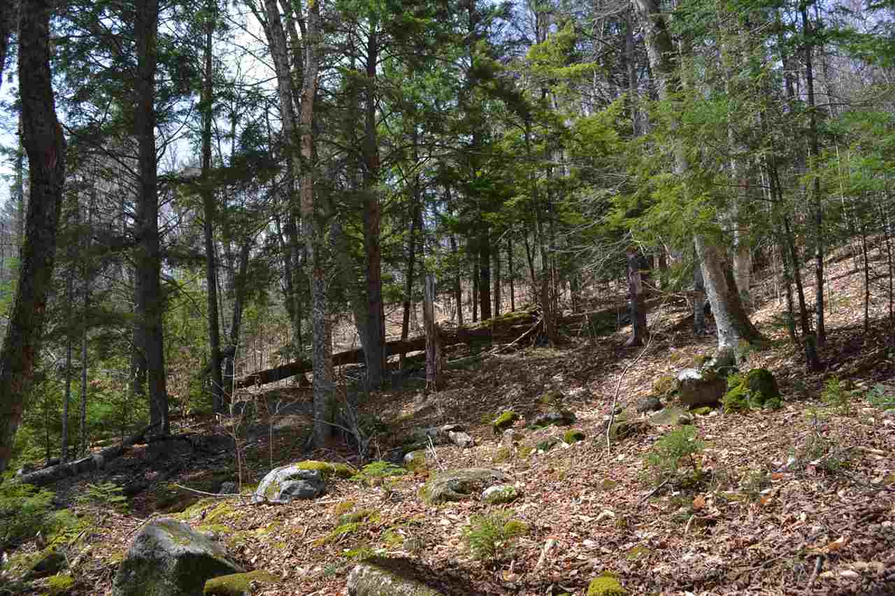 38-48 Mespelli Road Campton, NH 03223 - Photo 10 of 16