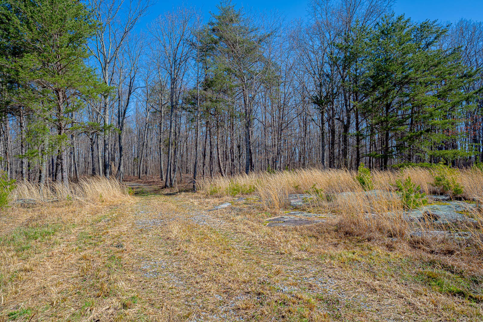 0 Moore North Road Rising Fawn, GA 30738 - Photo 15 of 20 Gallery Image 15