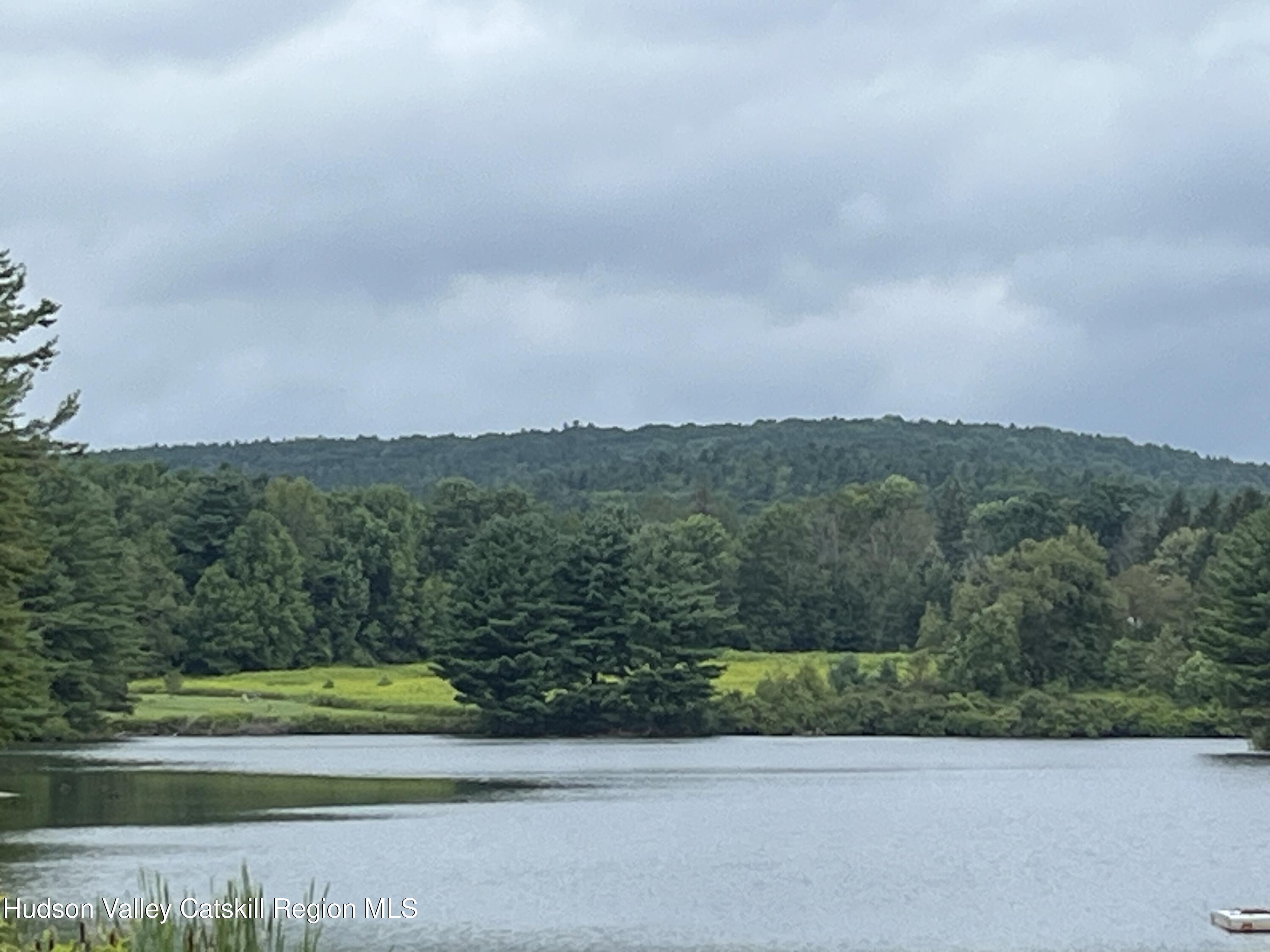 a view of a yard with an trees