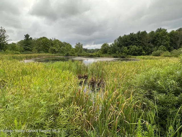 a view of lake with green field
