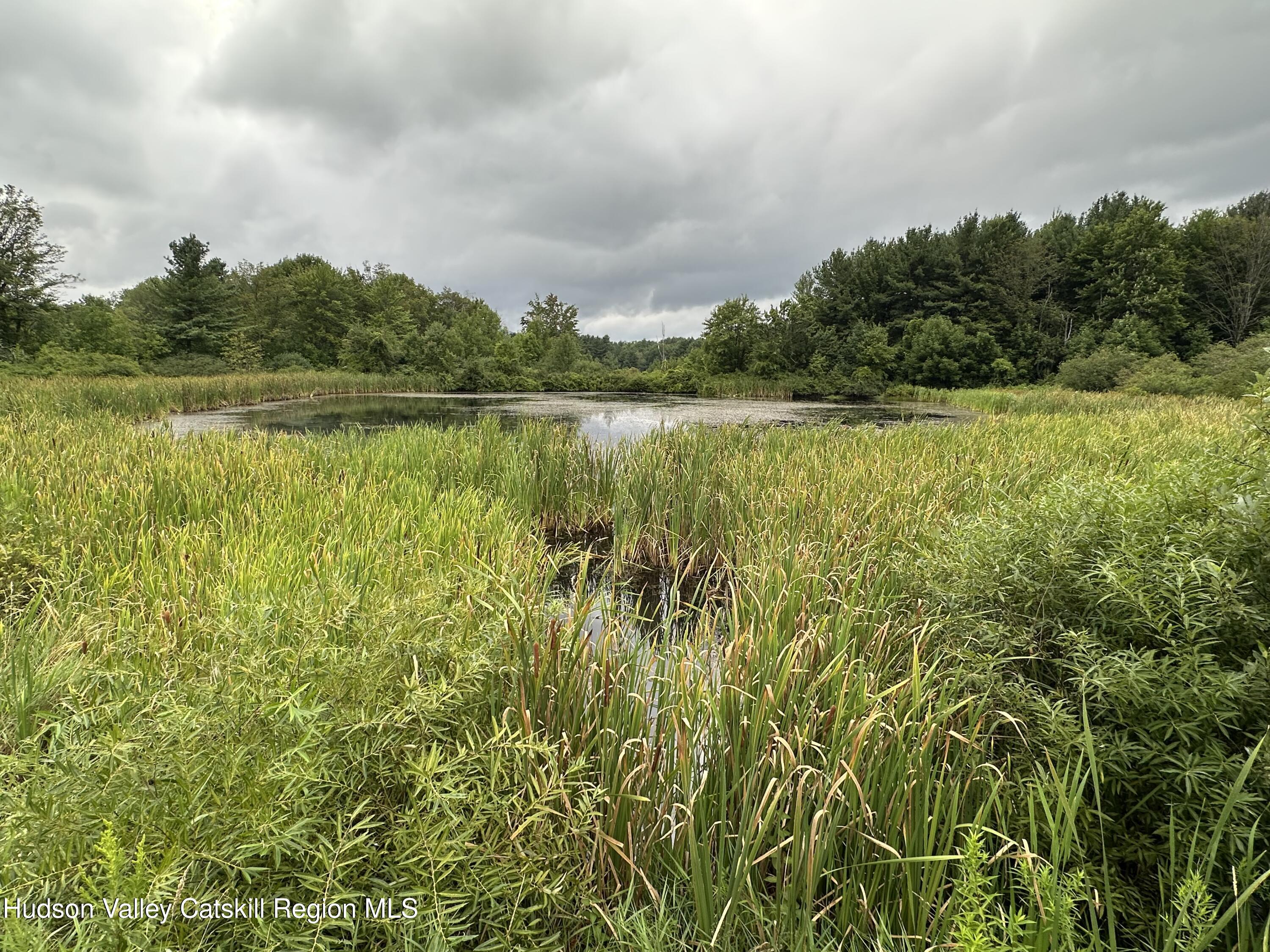 Tbd Todd Road Stamford, NY 12167 - Photo 11 of 23 a view of lake with green field