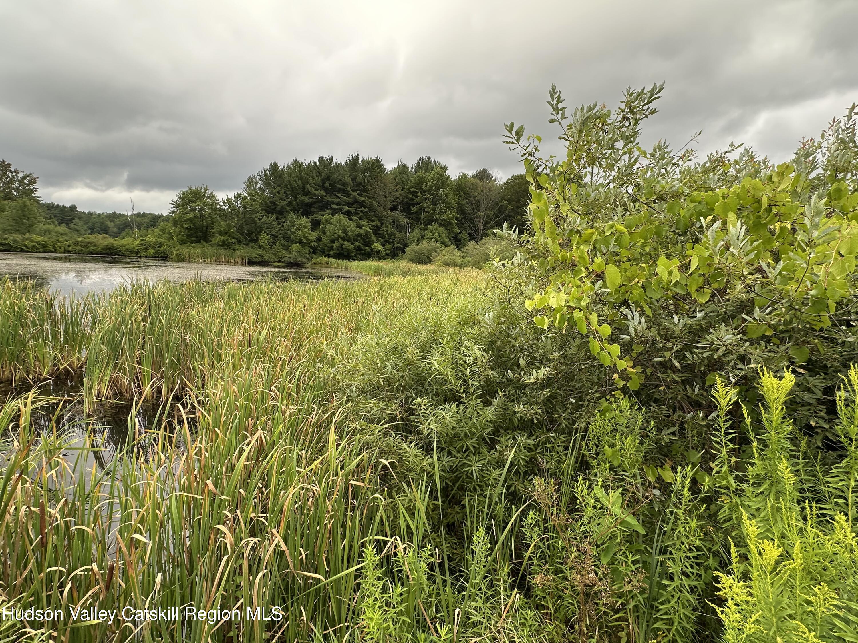 Tbd Todd Road Stamford, NY 12167 - Photo 12 of 23 a view of a lake with plants and large trees