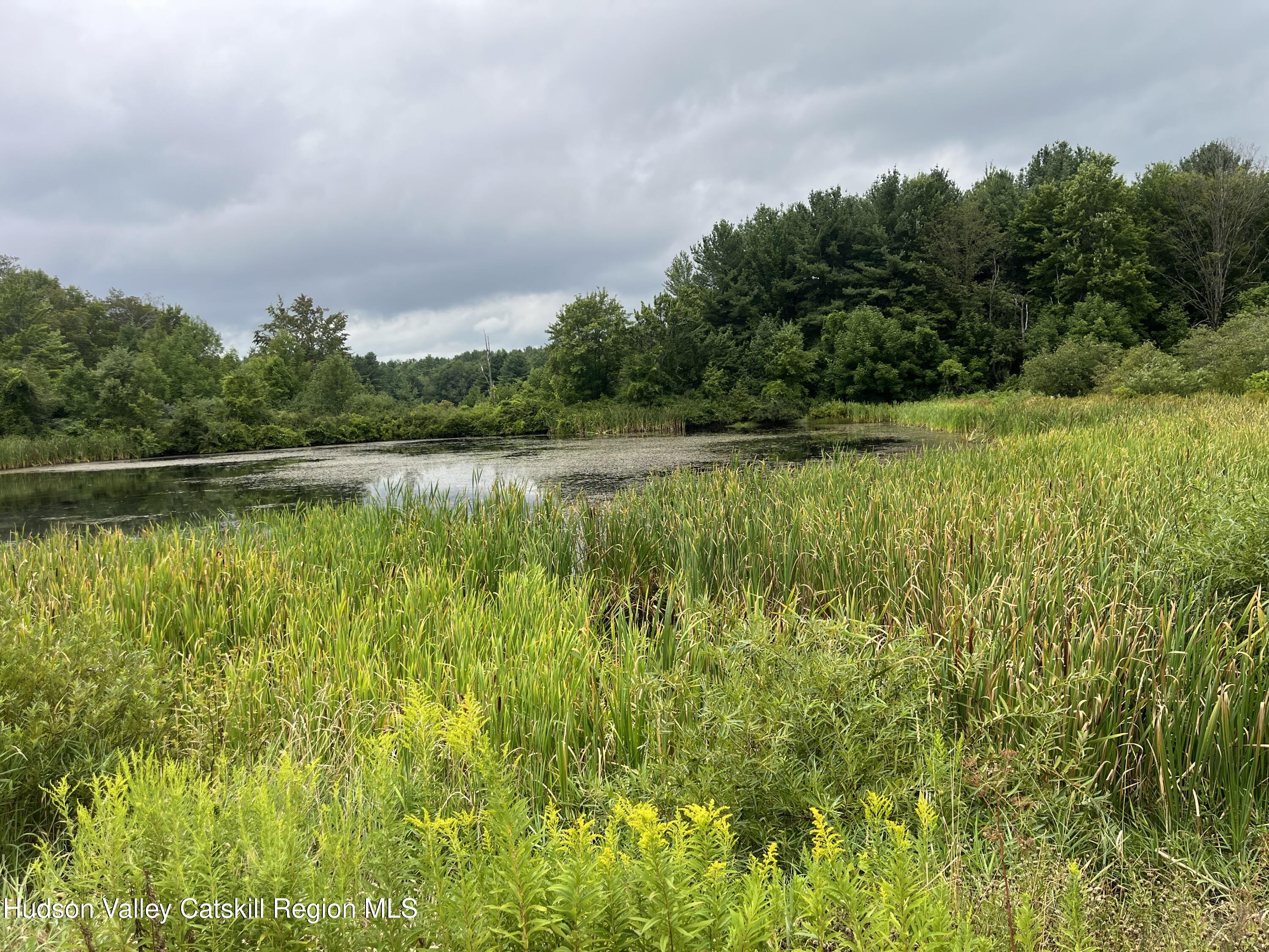 Tbd Todd Road Stamford, NY 12167 - Photo 13 of 23 a view of a lake with a big yard