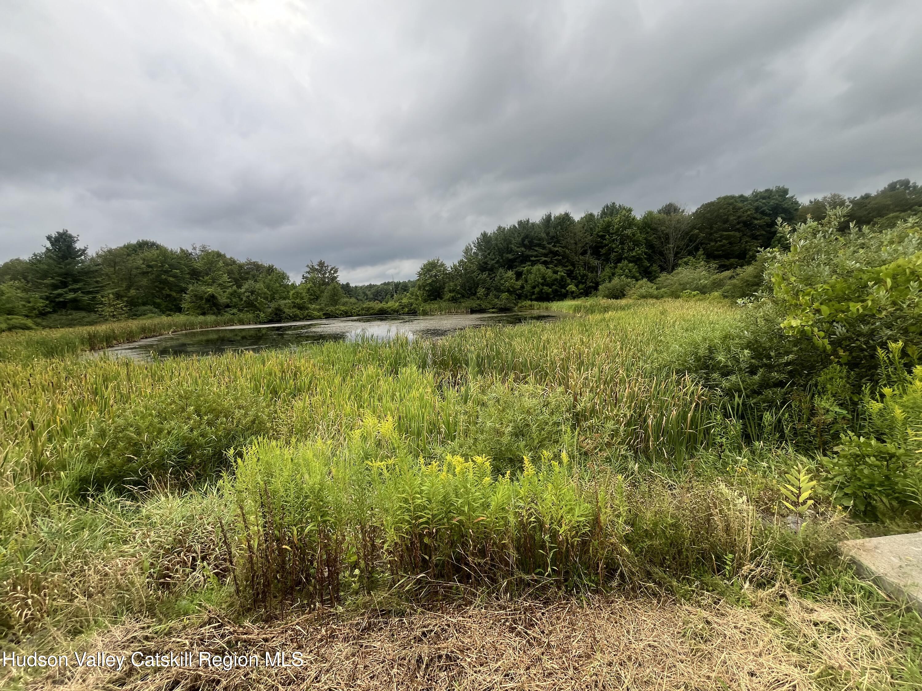 Tbd Todd Road Stamford, NY 12167 - Photo 14 of 23 a view of a lake with houses in the back