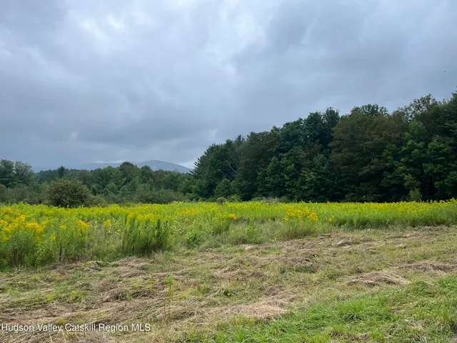a view of a field with a house in background
