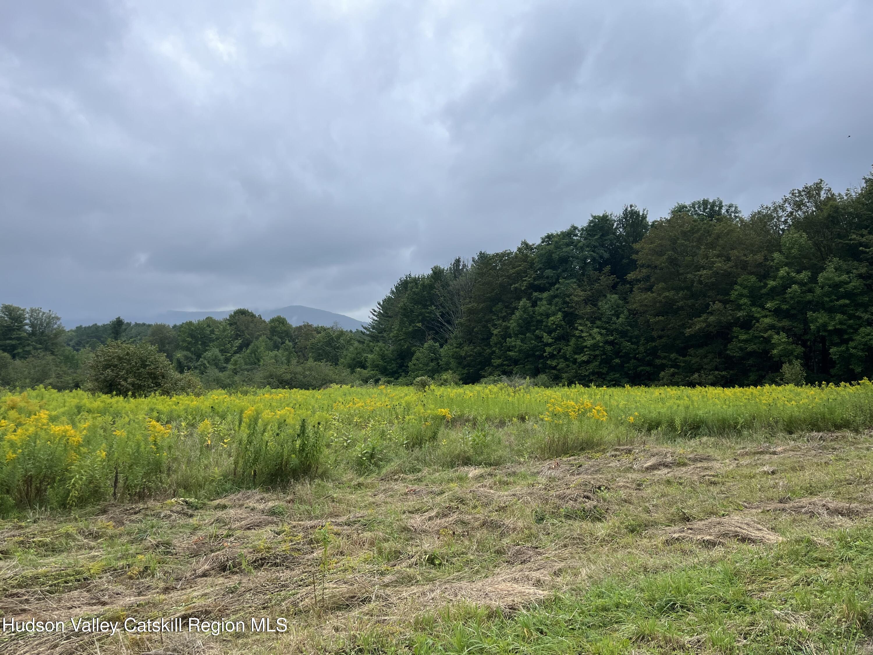Tbd Todd Road Stamford, NY 12167 - Photo 15 of 23 a view of a field with a house in background