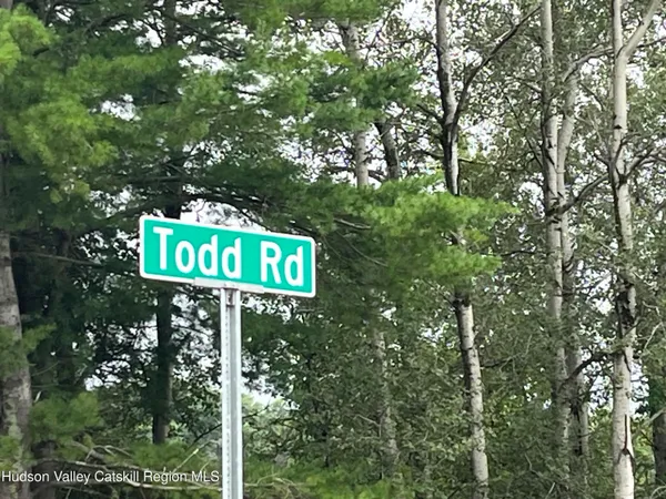 $69,500 | Tbd Todd Road, Stamford, NY 12167