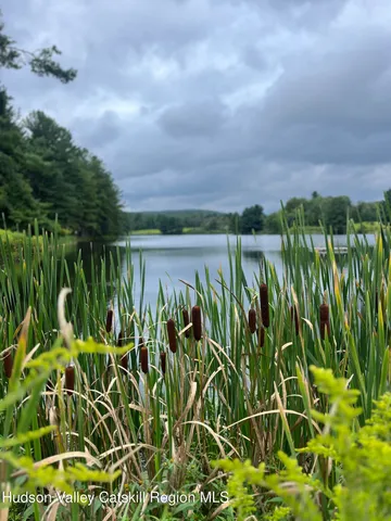 a view of a garden with a lake